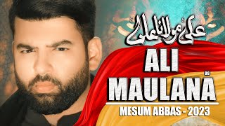 Ali Maulana Ali Noha MP3 Download