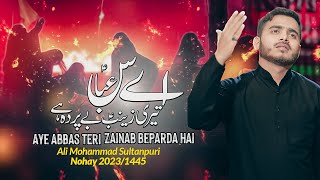 Aye Abbas Teri Zainab Noha MP3 Download