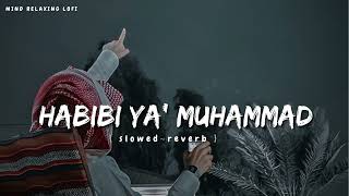 Habibi Ya Muhammad Slowed Reverb MP3 Download