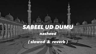 Sabeel Ud Dumu Slowed Reverb MP3 Download