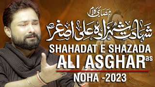 Shahadat E Shahzada Ali Asghar Noha MP3 Download